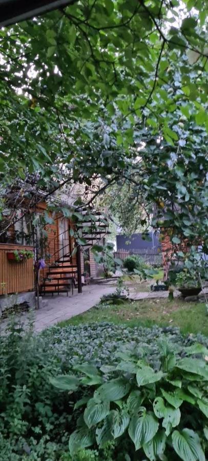 Guesthouse U Dida Viktora Iaremcea Exterior foto