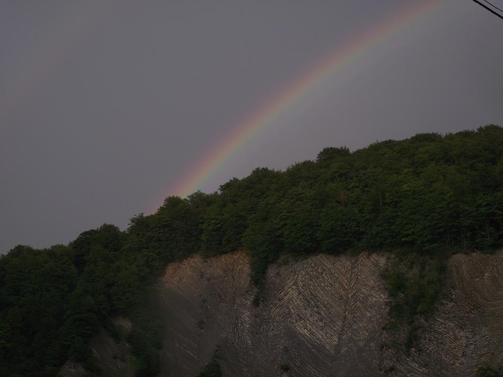 Guesthouse U Dida Viktora Iaremcea Cameră foto